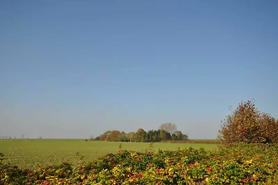 Vakantiehuis Ontspannende vakantie Wittmund