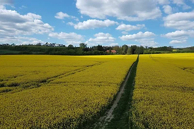 Vakantieappartement Gezinsvakantie Bülow