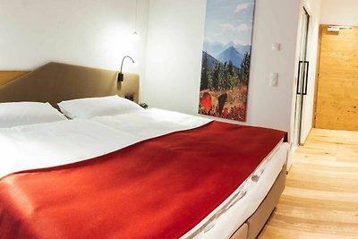 Hotel cultural and sightseeing holiday Schladming