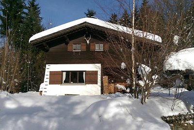 Holiday home relaxing holiday Schwarzenberg