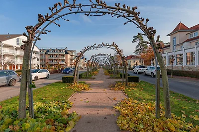 Sonnenblume: 38m², 1-Raum, 2 Pers.