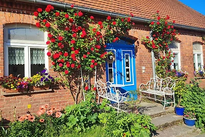 Vakantiehuis Ontspannende vakantie Wredenhagen