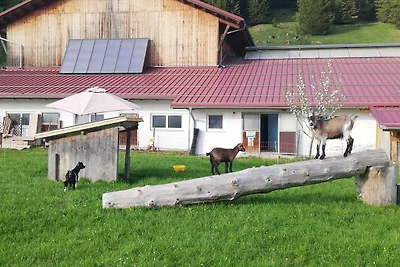 Ferienwohnung 2