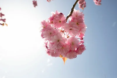 Haus an der Düne Wohnung 2