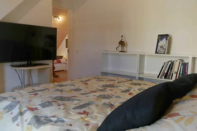 Albergo Cultura ed escursioni Wendisch Rietz