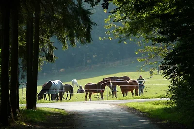 Appartamento Vacanza con famiglia Langgöns
