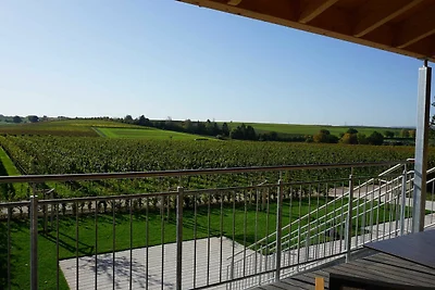 Vakantieappartement Gezinsvakantie Lauffen am Neckar
