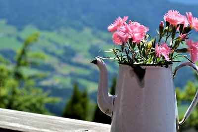 Appartamento Vacanza con famiglia Eisenberg