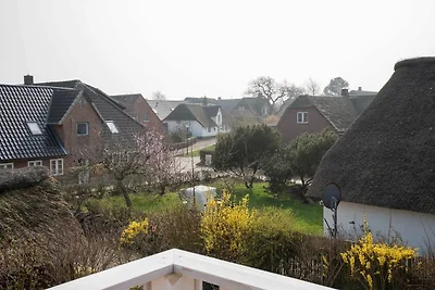 Haus Süd Windstärke 3 (inklusive Frühstück)