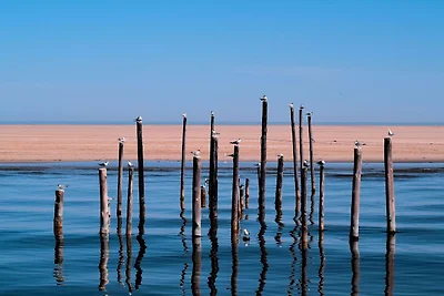 Haus Hus an de Diek Whg 01