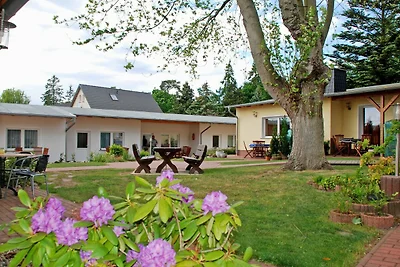 Ferienhaus 09 und Terrasse