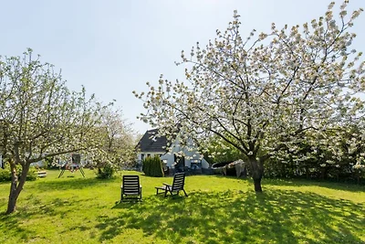Vakantiehuis Ontspannende vakantie Bergen auf Rügen