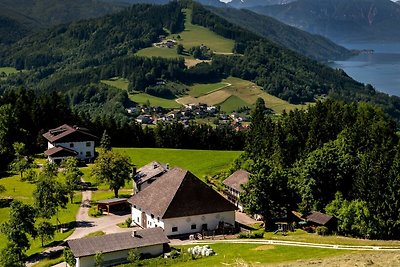 Vakantieappartement Gezinsvakantie Weyregg am Attersee