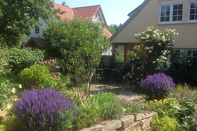 Apartment 3 (mit Wintergarten)