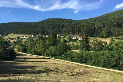 Vakantieappartement Gezinsvakantie Baiersbronn