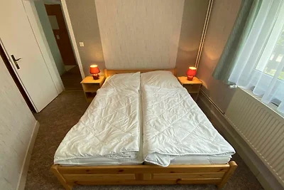 Grauer Esel E5