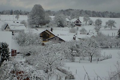 Vakantieappartement Gezinsvakantie Oberzent