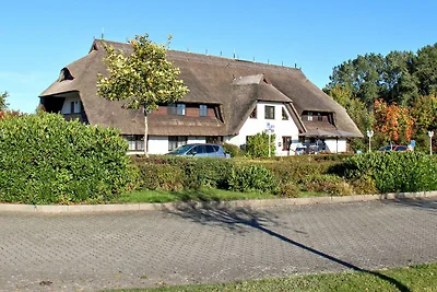 1-Raum-Appartement / Nr. 17