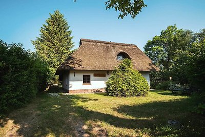 Reetdach Kastanienhaus (52m², 3-Raum, max 4...