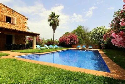 44303 Finca Son Mas bei Campos
