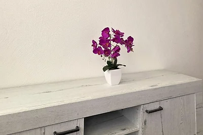 FeWo D`Rock Arosa-4 - nightlife local - adult...