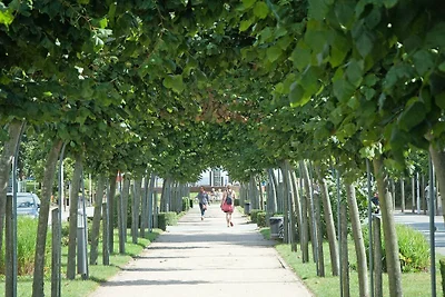 Appartamento Vacanza con famiglia Göhren