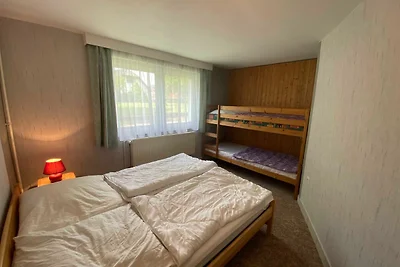 Grauer Esel E5