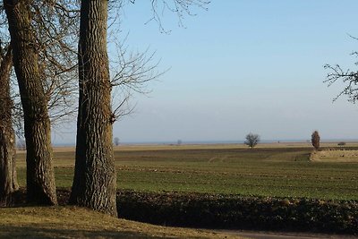 Landhaus am Haff, Wohnung B 8