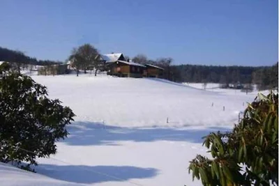Ferienhaus 1