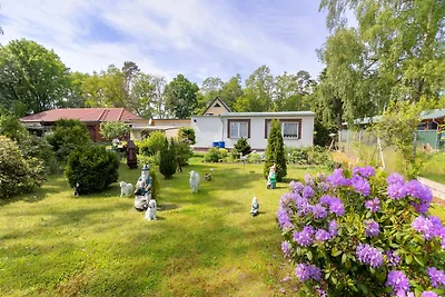 Karlshagen - Bungalow Gartenidyll