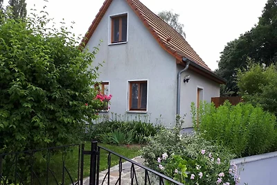 Vakantiehuis Ontspannende vakantie Altefähr