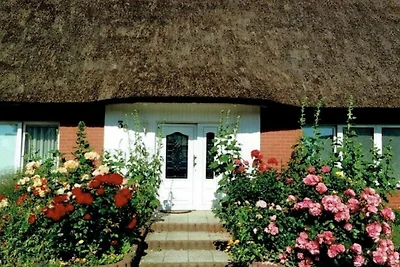 Apartamento Vacaciones familiares Loddin