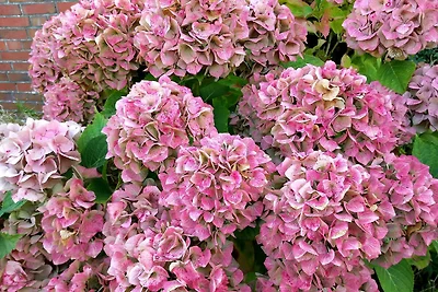 Ferienwohnung im Erdgeschoss