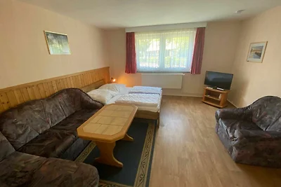 Grauer Esel E1