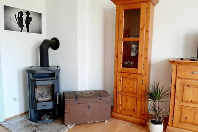 Ferienwohnung am Stadtpark_Rosenblüte