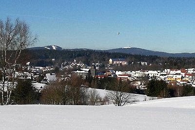 Vakantieappartement Gezinsvakantie Benneckenstein