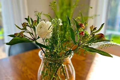 Sonnenliebe Ferienhaus