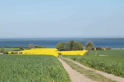 Vakantieappartement Gezinsvakantie Am Salzhaff