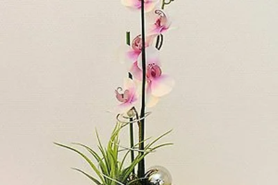 Ferienwohnung Strandtor