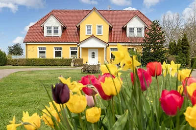 Nr. 4 Fewo Landhaus OG / Meerblick