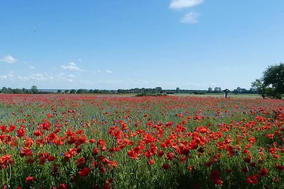 Vakantieappartement Gezinsvakantie Ahrenshoop