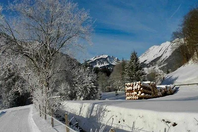 Appartamento Vacanza con famiglia Schoppernau