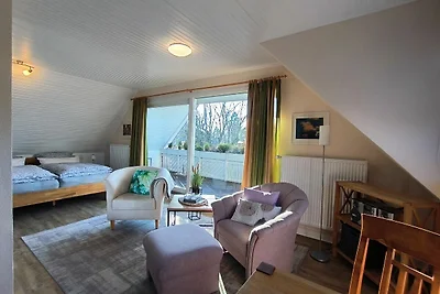 Apartment III mit Miniküche und Balkon