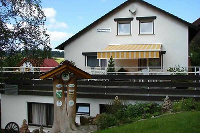 Vakantieappartement Gezinsvakantie Waldachtal