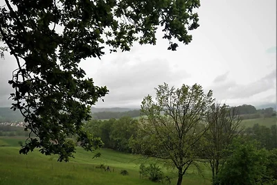 Vakantieappartement Gezinsvakantie Mörlenbach