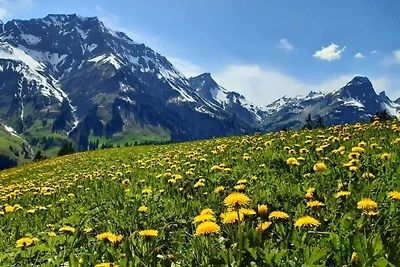 Vakantieappartement Gezinsvakantie Schröcken