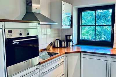 grosses Ferienhaus mit Kamin in ruhiger Natur...