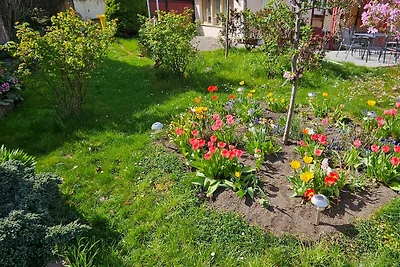 Ferienhaus Rosengarten