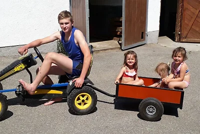 Appartamento Vacanza con famiglia Mondsee