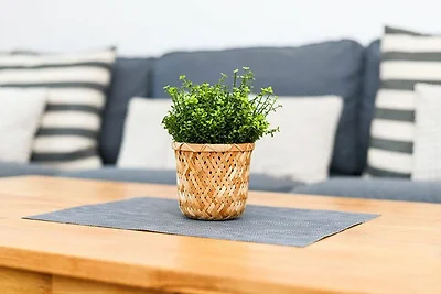 Ferienhaus Fischerstuuv